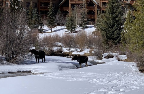 Mountain House Condo | Tenderfoot Lodge, Walk To Ski Lifts At Mountain House in Keystone