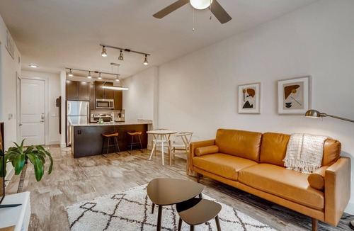 North Burnet Apartment | The Bindel: 30+ nights The Domain Pet Friendly!