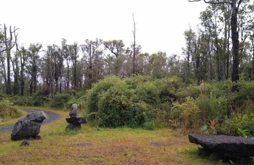 Fern Forest House | The Volcano Home As seen on Discovery Channels Building off the Grid