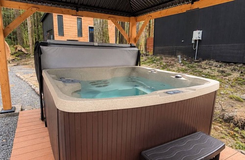 Ashford Apartment | Tiny Home Village at Mt. Rainier with Hot Tub & Sauna