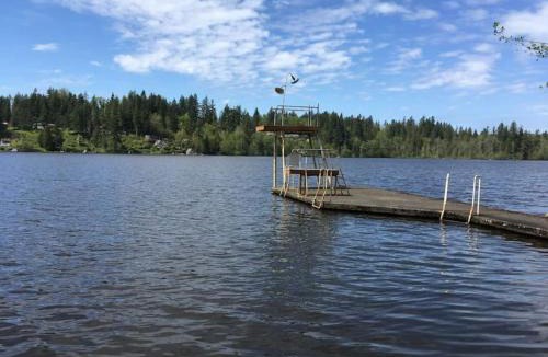 Eatonville House | Unique Waterfront Cottage 34 mi to Mt Rainier