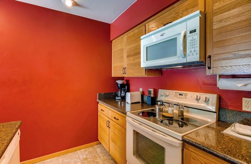 Mount Crested Butte Condo | Updated 1 BR Condo - Ski-in/Ski-out Access by RedAwning