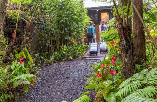 Volcano Bed & Breakfast | Volcano Village Lodge