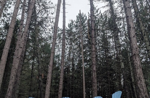 Franklin County Cabin | Wilderness Retreat 3-bedroom cabin in Eustis, Maine