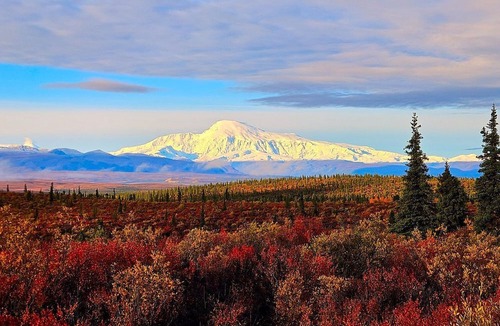 Slana Cabin | Wrangell Mountains Glamping Cabin, Ideal to Discover the Alaskan Wilderness