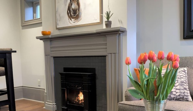 1 Bedroom Apartment in Beautifully Renovated Heritage Home (apt 2) in Goderich
