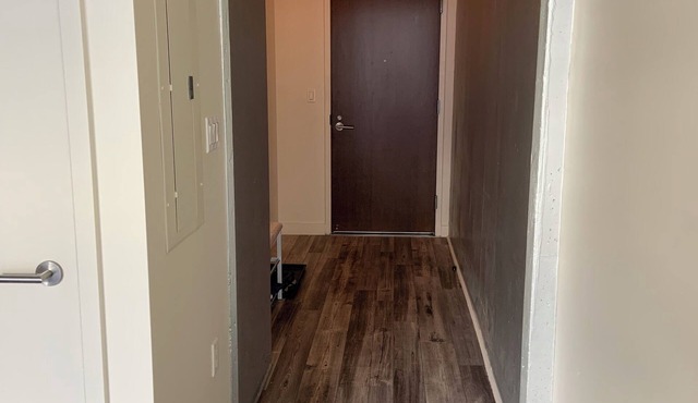 1-bedroom furnished Spire condo Downtown Denver near convention center