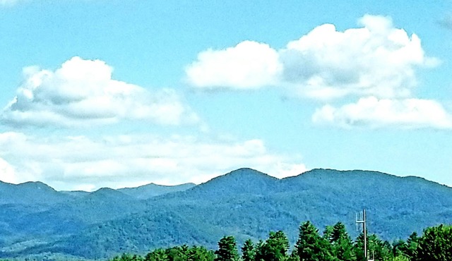 10 Acres; Blue Ridge Mnt Views, Nature Abounds