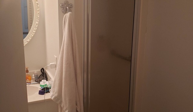 2 BEDROOM/2 BATHROOM CONDO WITH BEACH ACCESS FOR REMAINDER OF 2022