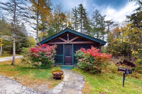 Adventure ready studio cabin with wooded views, fireplace, & AC