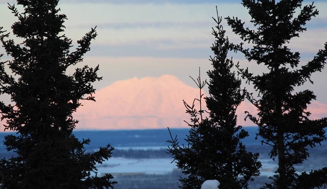 Alaskan Trailside With Views