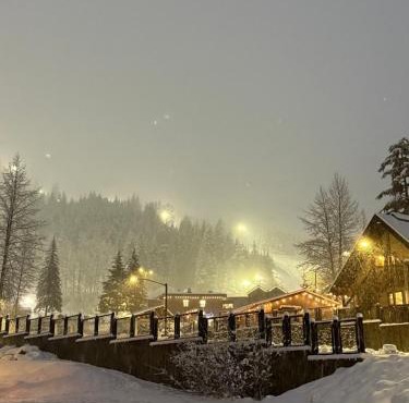 Alyeska Mountain Side Retreat!