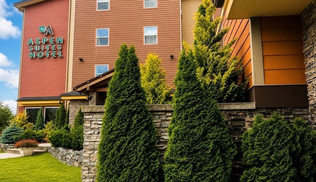 Aspen Suites Hotel Sitka Single Queen Studio