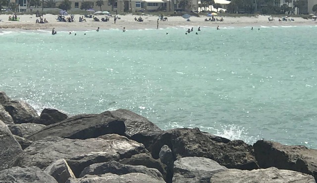 Beach Front Condo, Venice, Florida. 2 bedroom, 2 bath, heated pool.