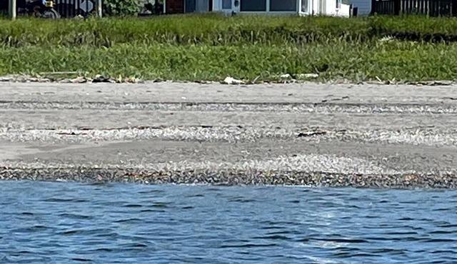 Beach front quality house, open year round, Cap- Chat, Gaspesie, fishing, kayak, in Cap-Chat