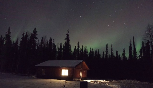 Bear Paws in North Pole, Alaska