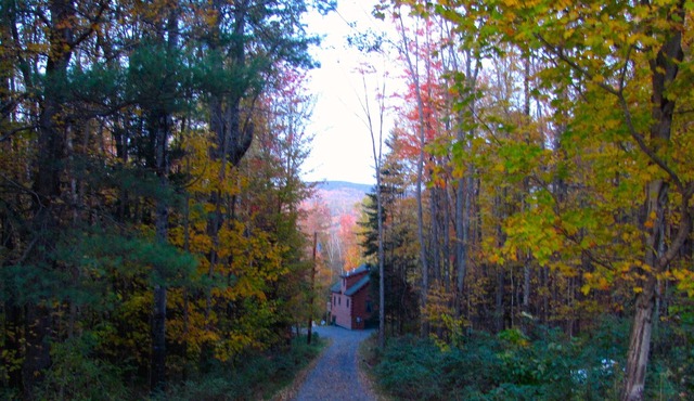 Beautiful 3-bedroom Log Cabin On 50+ Acres Overlooking the White Mountains