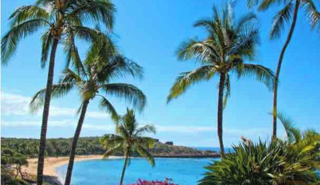 Beautiful House, Beaches , Surfing, Golf, WiFi