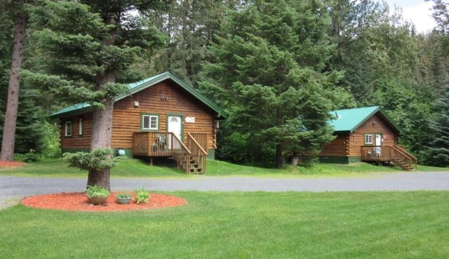 Box Canyon "Wolf's Den Cabin" - 2 bed, WIFI