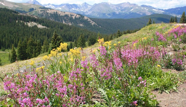 Breckenridge Mountain Chalet, Easy access to Ski Areas, hiking, biking and more!