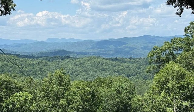 Camp Shady Pines | Luxury Blue Ridge Mountain Retreat