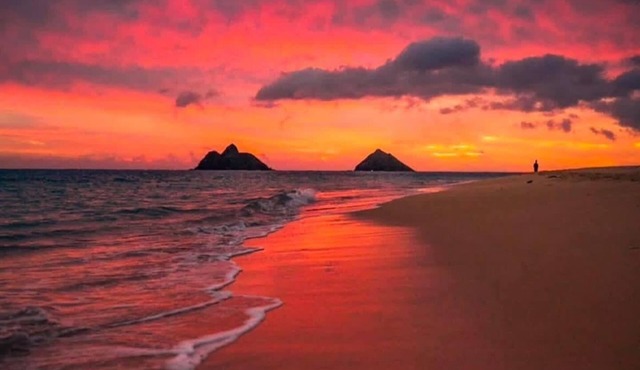 Charming Lanikai Kailua Cottage! Close to Lanikai beach, A/C, parking.