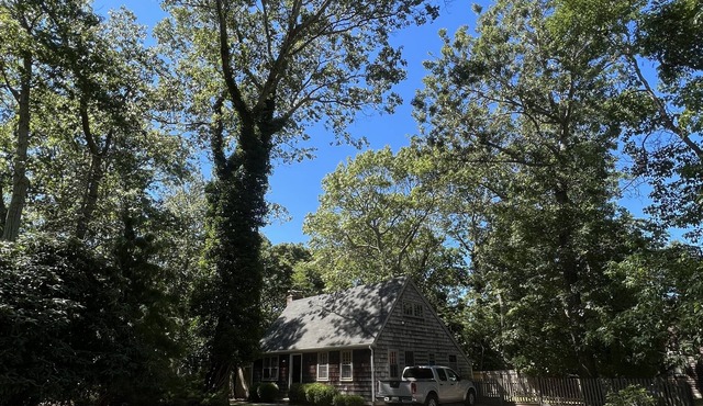 Charming & Rustic Artists Mid Century Modern Hamptons Escape