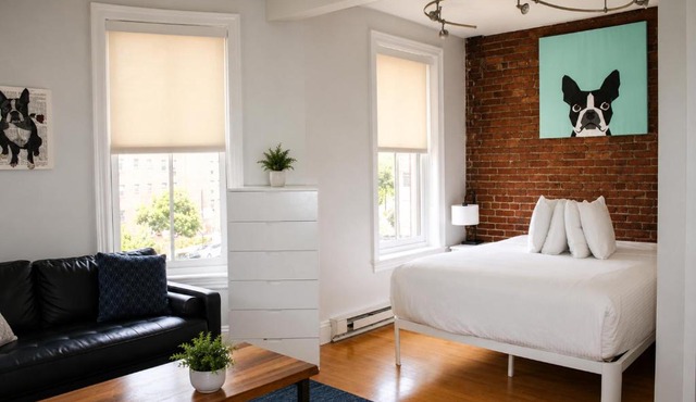 Charming Studio in Boston Brownstone, C.Ave#5