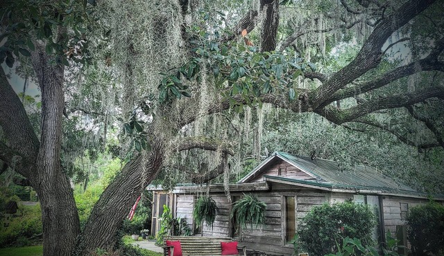 Charming Unique Cabin: The LiTTLe House in the Inlet!