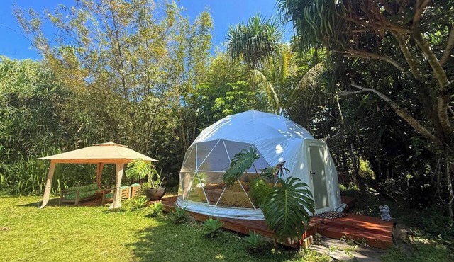 Come sleep in the jungle Glamping Experience