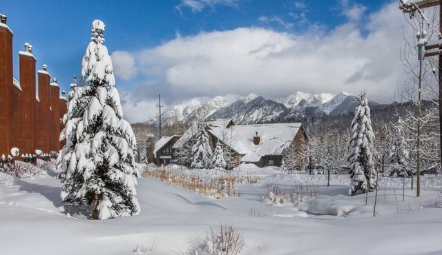 Comfy Cozy Condo 1 mile from Purgatory Ski Resort