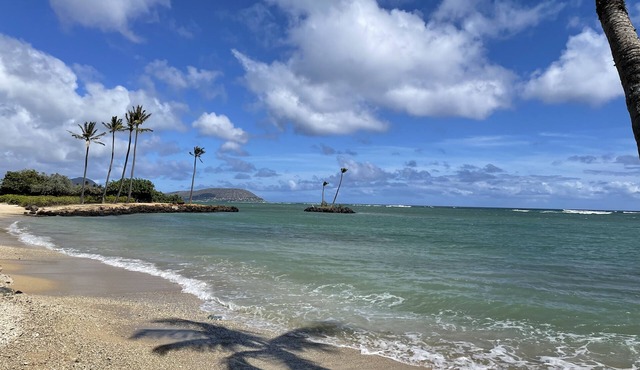 Condo on the Beach (Kahala) 1 bedroom "March & April" *Special Rates*