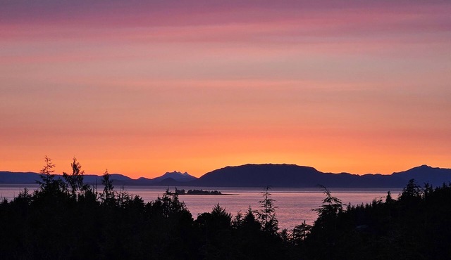 Cozy 1 bedroom cabin full of amenities in beautiful Ketchikan