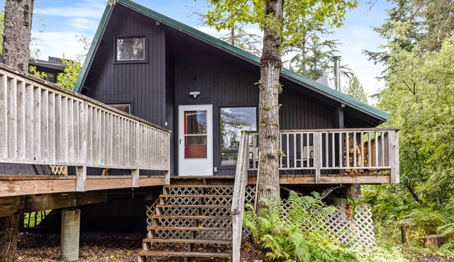 Cozy Cabin in Central Girdwood W/Wood Stove, Washer/Dryer, & Free WiFi
