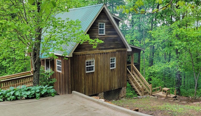 Cozy Cabin