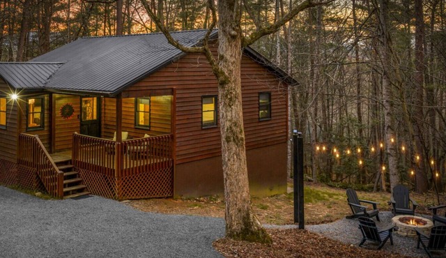 Cozy Pet-Friendly Cabin w/Firepit | Blue Ridge