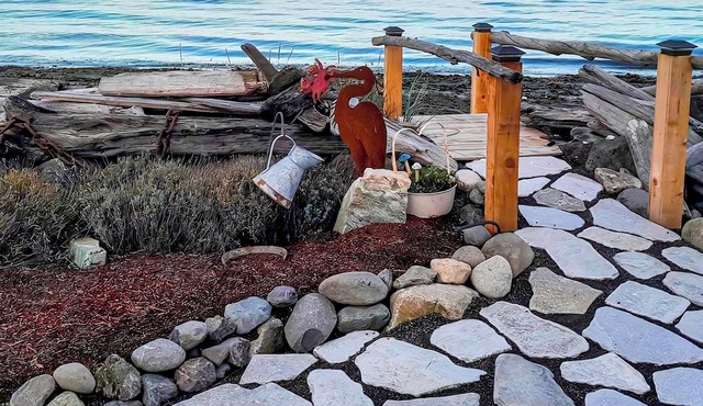 Cozy Studio, Sea Views, Pet Friendly