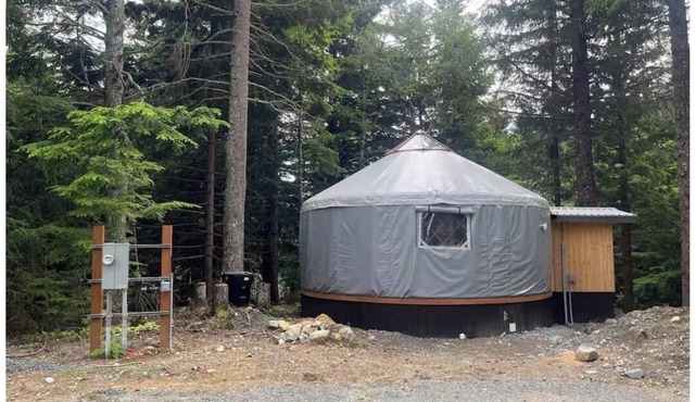 Cozy yurt in the forest-Pet-Friendly. Private In-Town Convenience