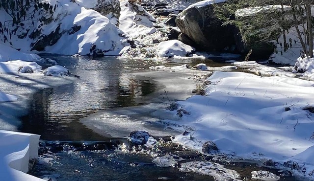 Creek Side Cottage in Valle Crucis