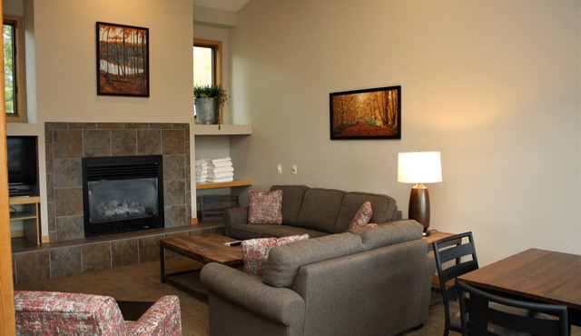 Deluxe Three Bedroom Condo. AMAZING VIEWS. On bus route. Pet friendly.