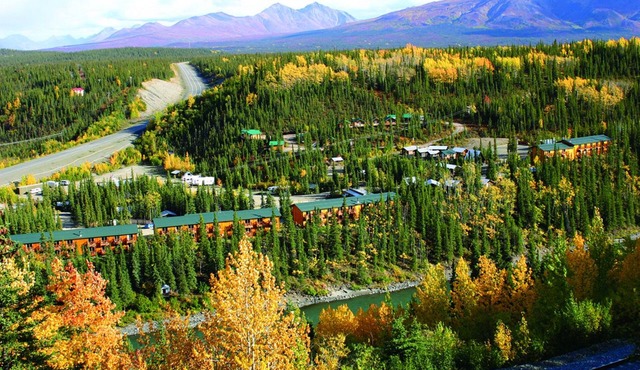 Denali Grizzly Bear Resort