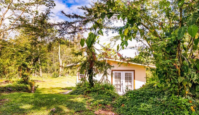 Dog-friendly studio escape near the beach & town with fast WiFi & kitchenette