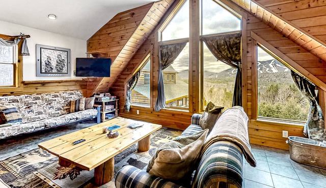 Dog-Friendly Studio w/ Mountain Views, Wood Stove, Fast WiFi, PetSafe Dog Fence