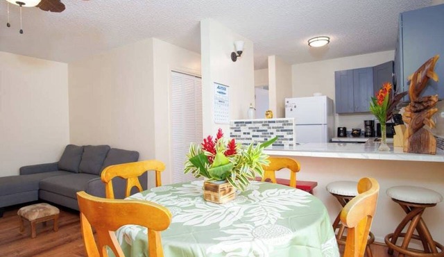 Downtown Hilo Condo Steps from the Bay
