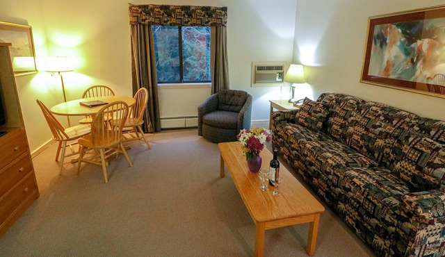 Efficiency with Sleeper Sofa only 221