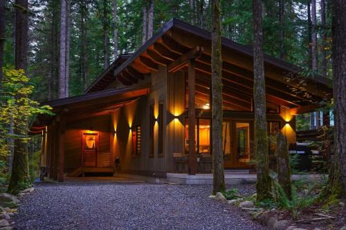 Elysian at Mount Baker