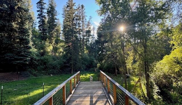 Enchanting cabin with modern amenities, private and immersed in nature.