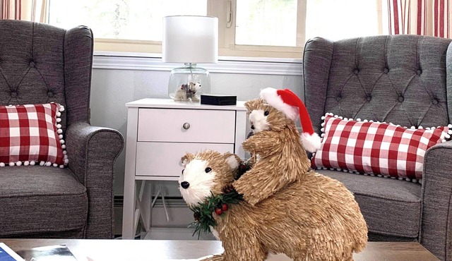 Enjoy year round Christmas in North Pole AK with 3 beds 2 baths