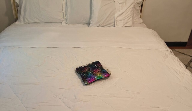 Enjoyable 1-bedroom apartment with AC in vibrant Seattle. A relaxing area.