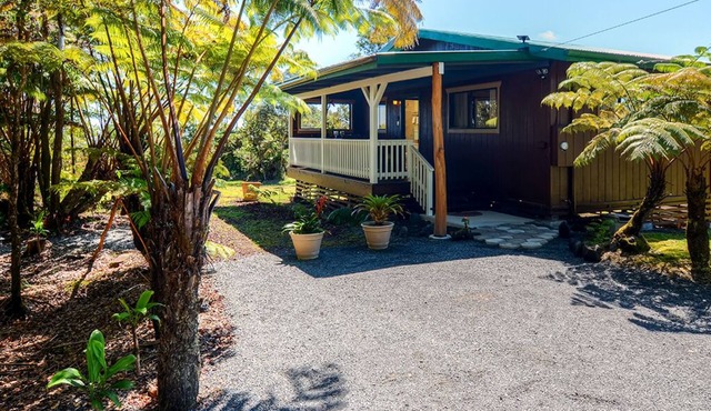 'Fern Cottage' Island Escape with Rainforest View!